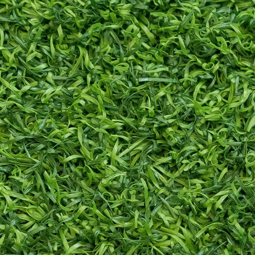 Carpets Plus of Raleigh Artificial Grass Flooring